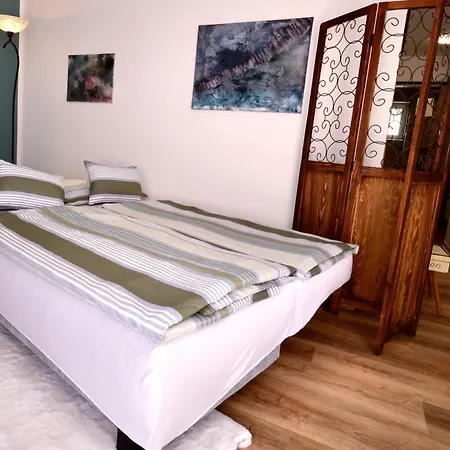 公寓 Schoenezeit-bingen 莱茵河畔的宾根